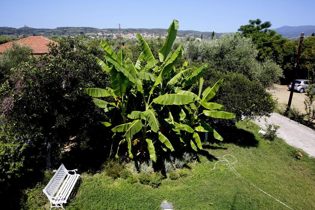 Aggelos Hotel Agios Andreas  Dış mekan fotoğraf